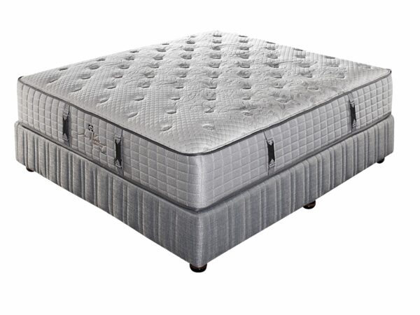 Sealy La Difference Nicci Bed Set Extra Length
