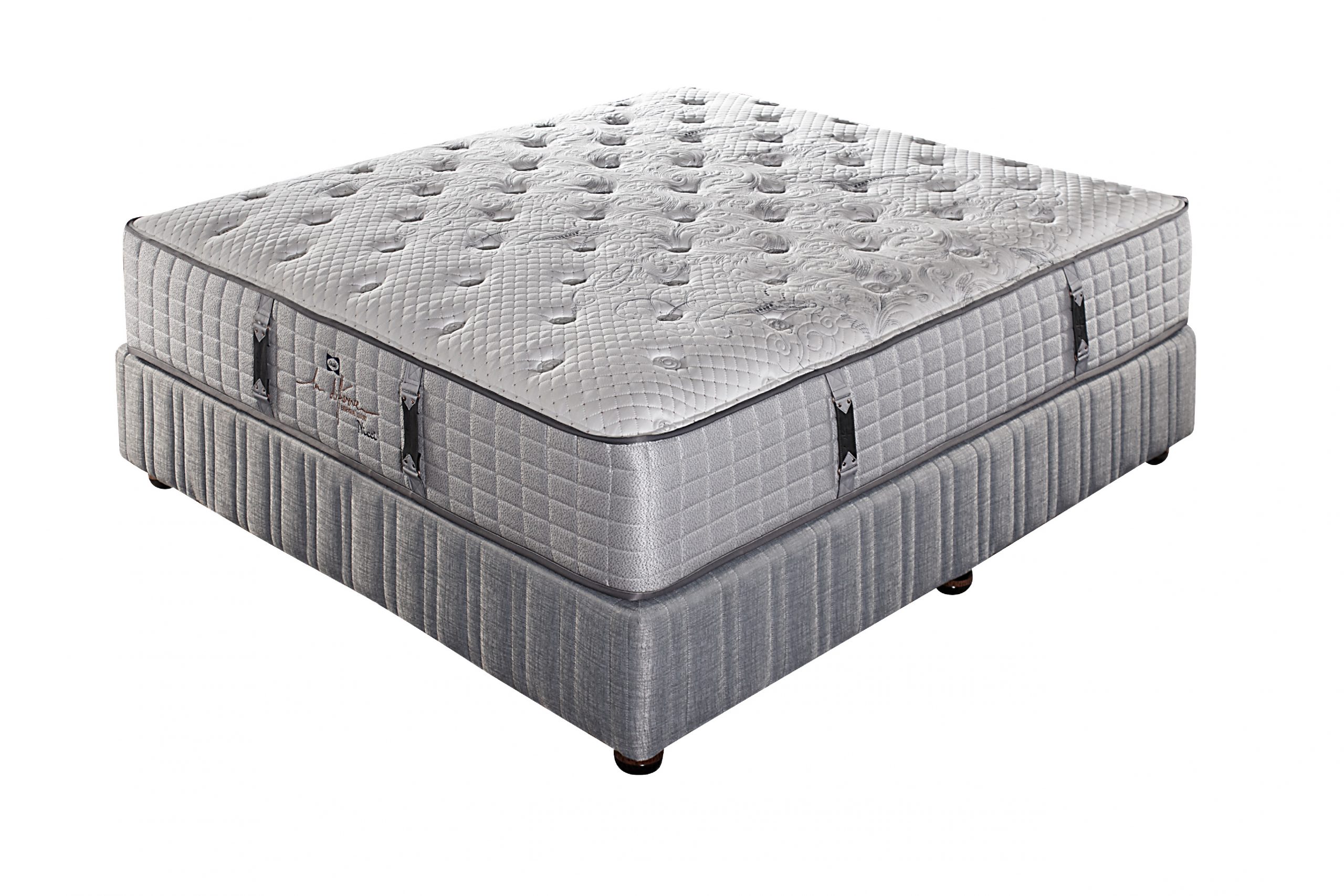 Sealy La Difference Nicci Bed Set Extra Length